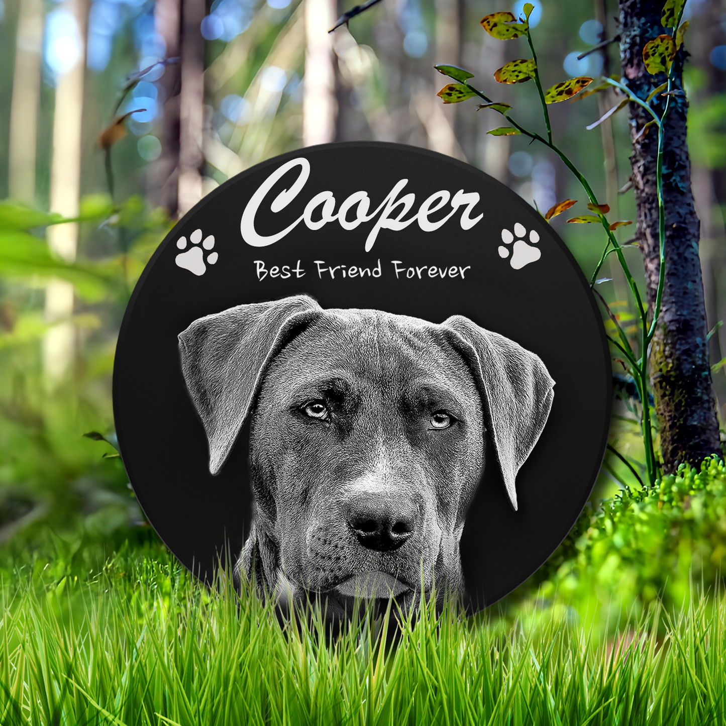 ADFSTONE Pet Grave Marker & Memorial Plaque Personalized | Theme: Laser-Etched (Pet) | Ratio: 1v1 Round