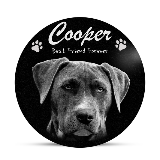 ADFSTONE Pet Grave Marker & Memorial Plaque Personalized | Theme: Laser-Etched (Pet) | Ratio: 1v1 Round