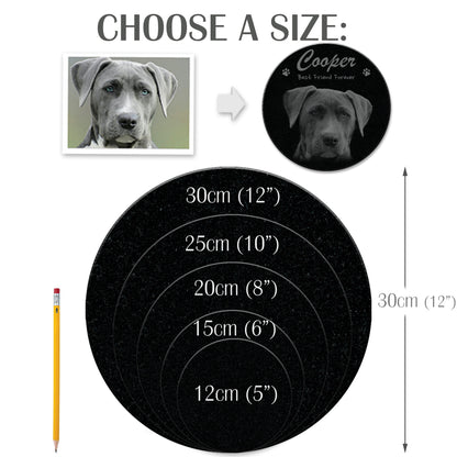 ADFSTONE Pet Grave Marker & Memorial Plaque Personalized | Theme: Laser-Etched (Pet) | Ratio: 1v1 Round