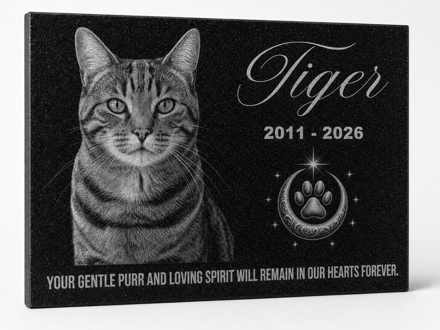 Cat memorial stone with photo engraved in black granite — ADFSTONE